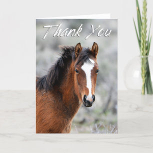 Shaggy Wild Mustang Photo Carte de remerciements