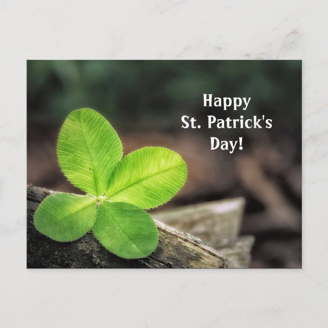 Shamrock 2 St. Patrick's Day Carte postale (Devant)