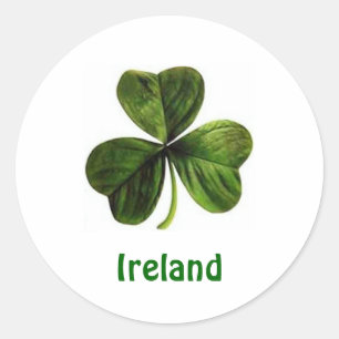 Shamrock d'Irlande - Sticker