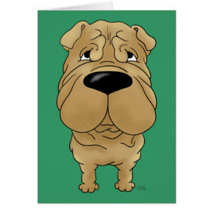 Shar-Pei - grand nez et bout