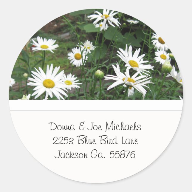 Shasta Daisies Adresse Stickers (Devant)