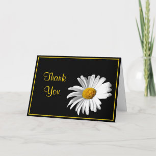 Shasta Daisy Black Gold Mariage Merci