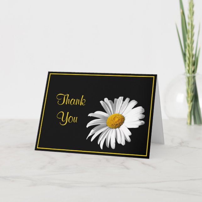 Shasta Daisy Black Gold Mariage Merci (Devant)
