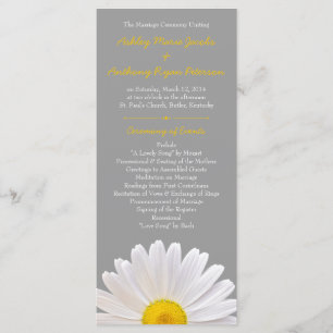Shasta Daisy Fleur Jaune Grey Programme de mariage