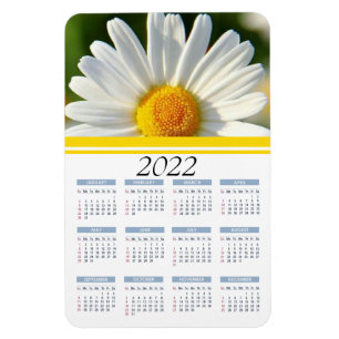 Shasta Daisy   Magnet Calendrier floral 2022