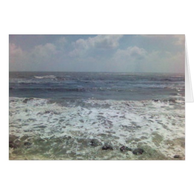 shellspima1173492-0010 (Devant horizontal)