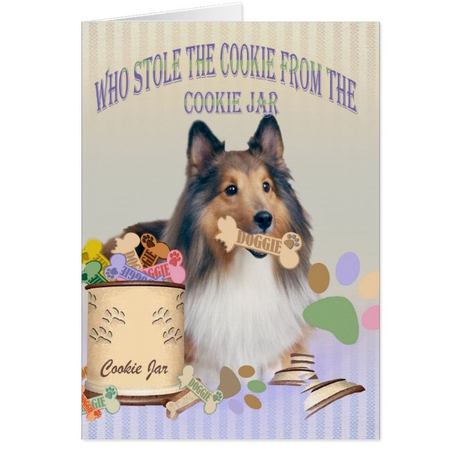 Sheltie a volé le biscuit des cartes de boîte à (Devant)