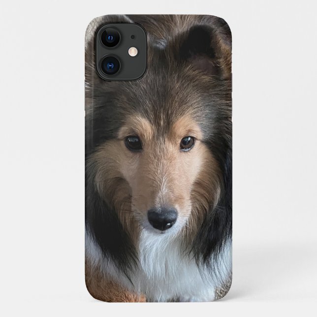Sheltie Coque Smartphone (Dos)