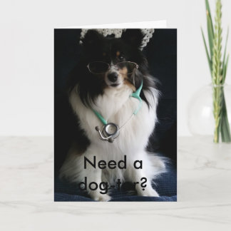 Sheltie obtiennent la carte bonne