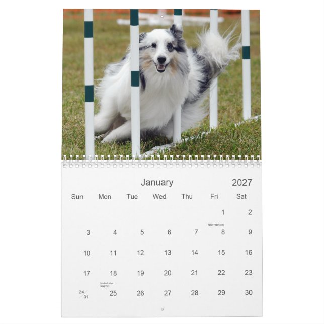 Shelties et tisse le calendrier d'agilité (Jan 2027)