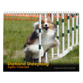 Shelties et tisse le calendrier d'agilité