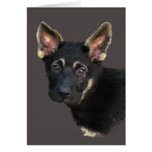Shepard Puppy-Pastels allemands