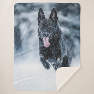 Sherpa Berger allemand noir dans la couverture de duvet d