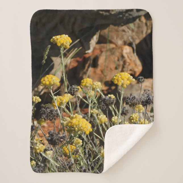 Sherpa Couverture (Devant)