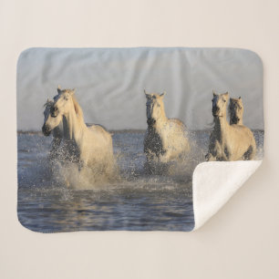Sherpa couverture de troupeau de chevaux