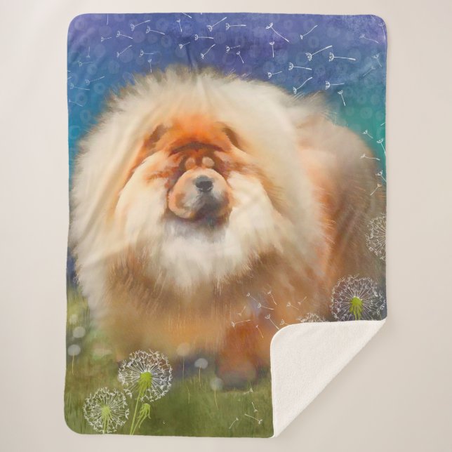 Sherpa Nouveau lien vers la grande couverture de Nava (Devant)