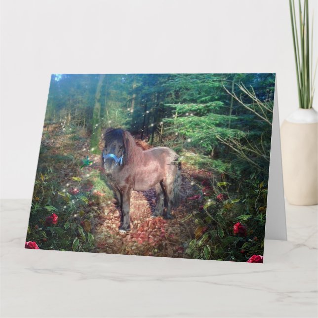 Shetland Pony - Carte de voeux (Devant)