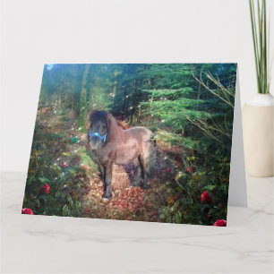 Shetland Pony - Carte de voeux
