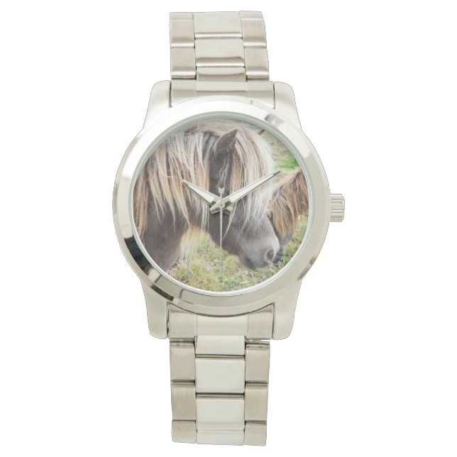 Shetland Pony, Mauvais, Jour des cheveux, Montre d (devant)