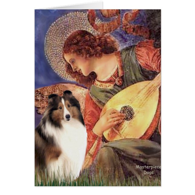Shetland Sheepdog 7 - Ange au mandolin (Devant)