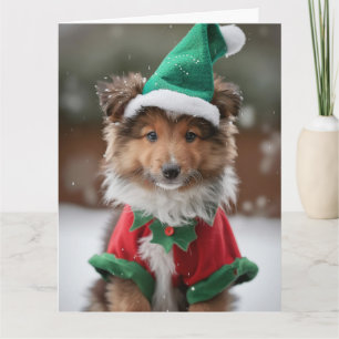 Shetland Sheepdog Elf Chiot carte de Noël