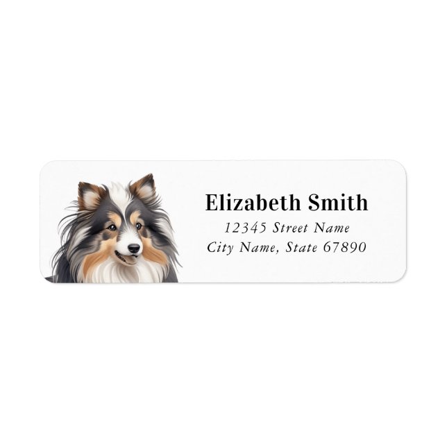 Shetland Sheepdog Retourner les étiquettes d'adres (Devant)
