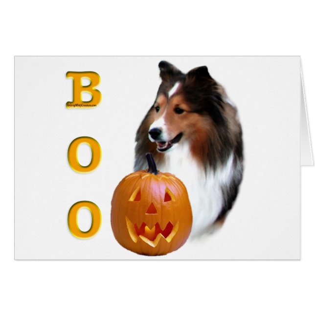 Shetland Sheepdog (sable) Boo (Devant horizontal)