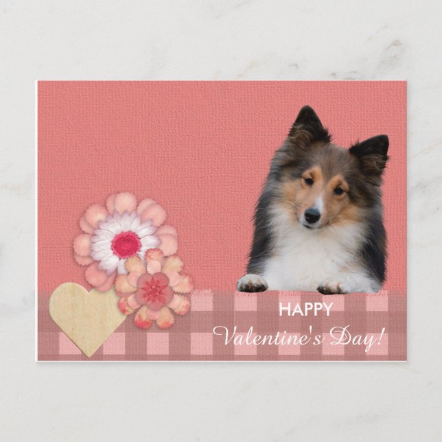 Shetland Sheepdog Valentine's Day carte postale (Devant)
