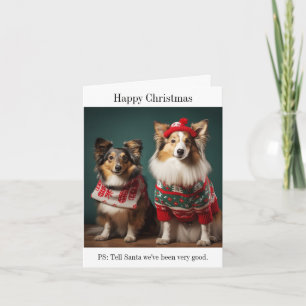 Shetland Sheepdogs Bonne carte de Noël
