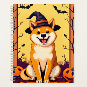 Shiba Inu mignon avec un chapeau de sorcière