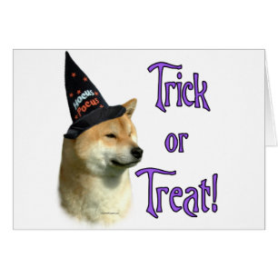 Shiba Inu Trick