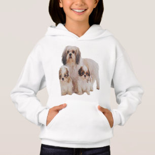 Shih-tsu