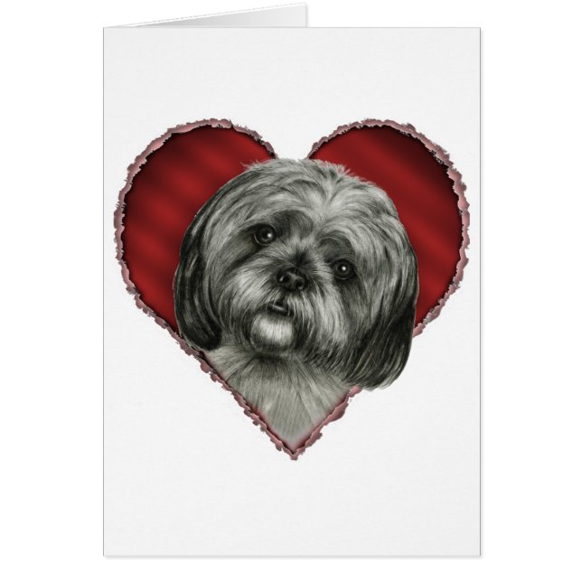 Shih Tzu avec le coeur (Devant)