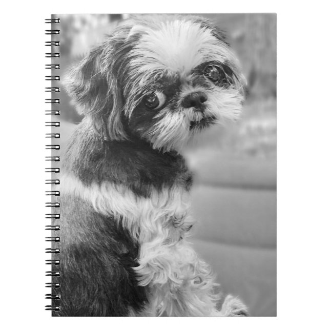 Shih Tzu Carnet fille (Devant)
