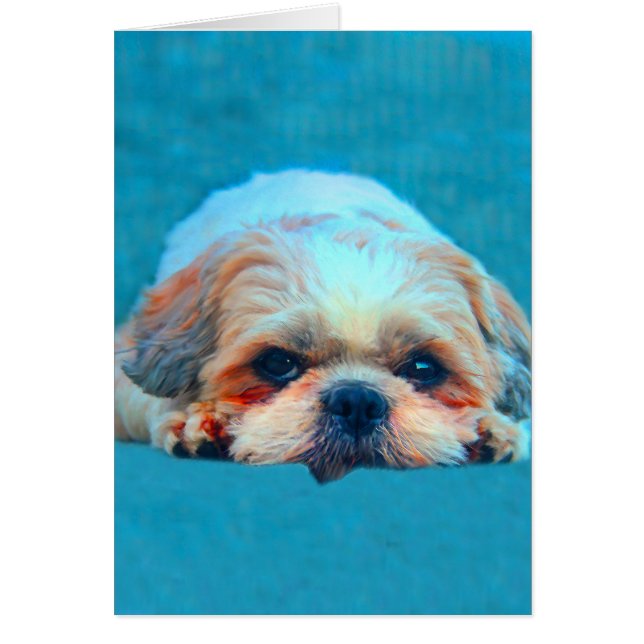 Shih Tzu Chien Water color art Portrait (Devant)