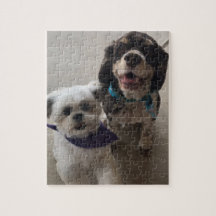Shih Tzu et puzzle de chien de cocker