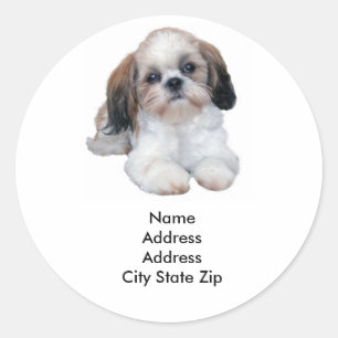 Shih Tzu Étiquette de adresse