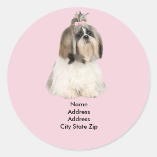 Shih Tzu Étiquette de adresse