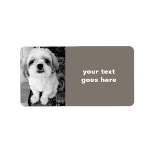 Shih Tzu Étiquettes de adresse personnalisés