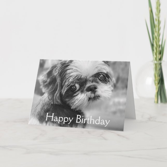 Shih Tzu Girl Carte de voeux noir et blanc (Devant)