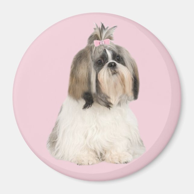 Shih Tzu Magnet (Devant)