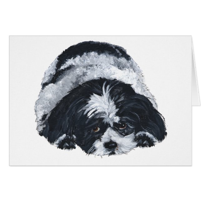 Shih Tzu Noir & Blanc (Devant horizontal)