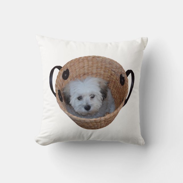 Shih Tzu Panier Coussin rond (Recto)