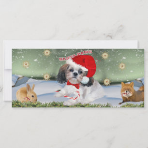 Shih Tzu Père Noël Paws cadeaux