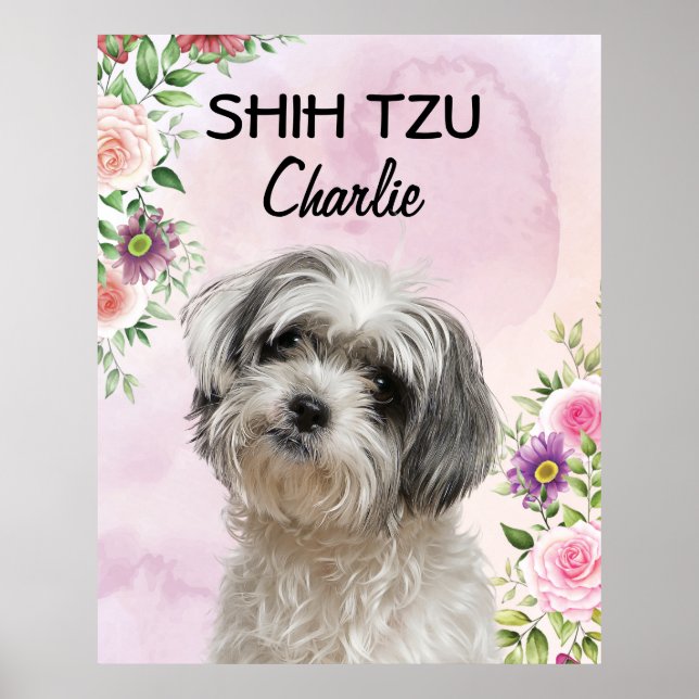 Shih Tzu Personalized  Poster (Devant)