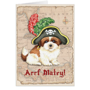 Shih Tzu Pirate Card