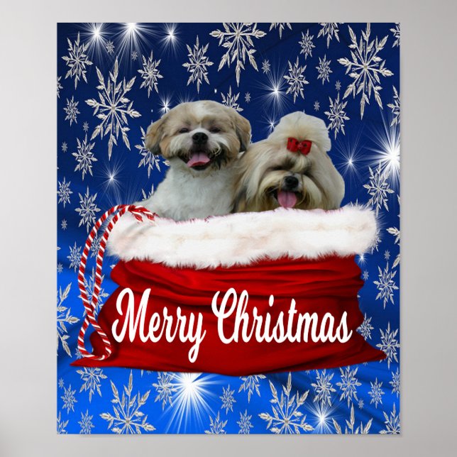 Shih tzu Poster Noël (Devant)