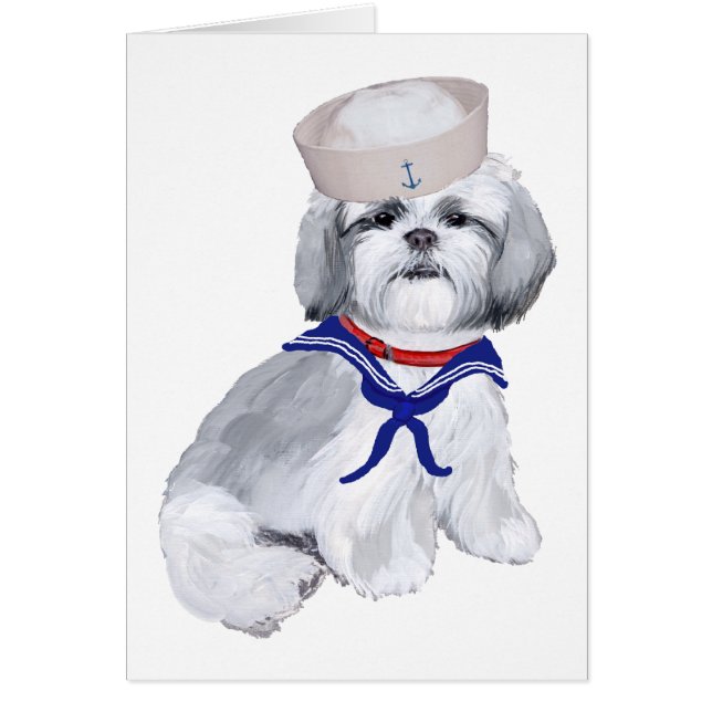Shih Tzu Sailor (Devant)