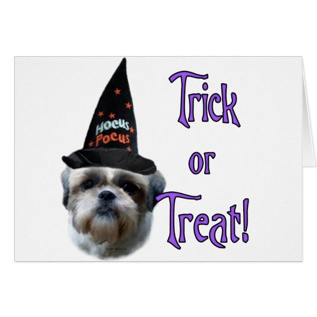 Shih Tzu Trick (Devant horizontal)