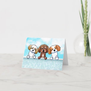 Shih Tzu Trio Merci